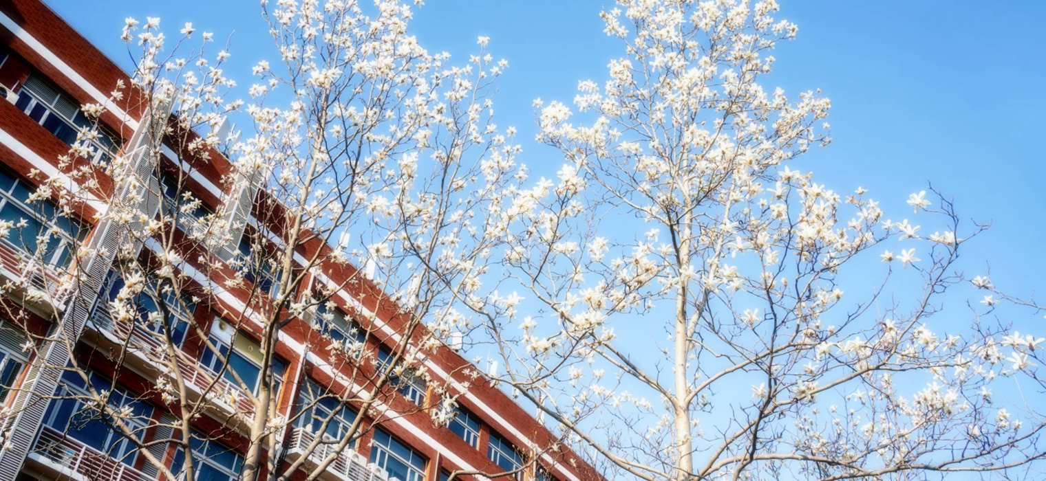 【党代会报告解读】育才报国担使命，创新突破谱新篇——坚定不移实施“育人为本战略”