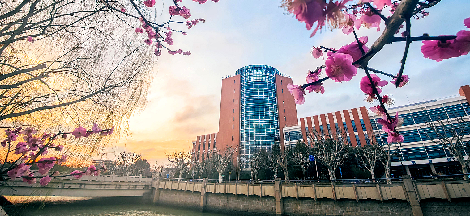 【党代会报告解读】传承百卅交大精神，绘就数智融合新篇